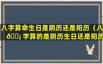 八字算命生日是阴历还是阳历（八 🐡 字算的是阴历生日还是阳历生日）